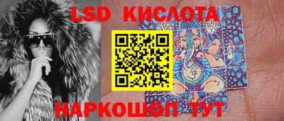 мдпв Гусев