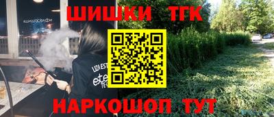 мдпв Гусев