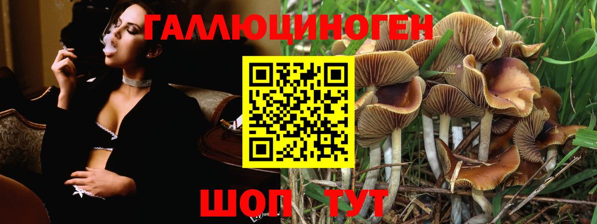 Псилоцибиновые грибы мухоморы Бузулук