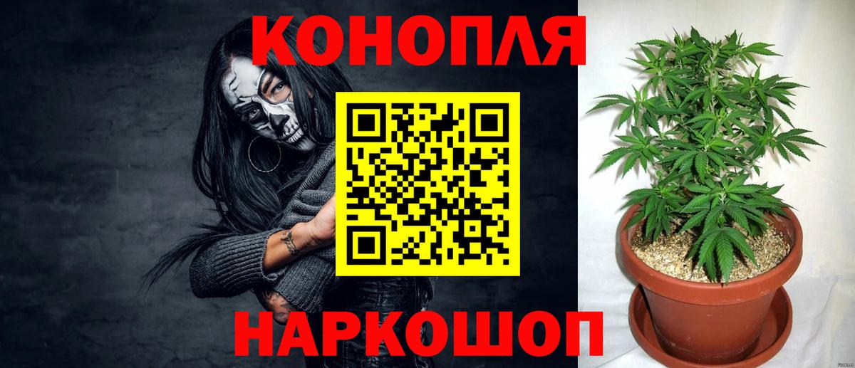 Шишки марихуана OG Kush  Канабис марихуана  Бузулук  Вход с VPN  Бошки Шишки сатива 